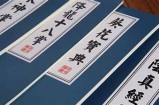 抖音九阴真经视频解析：神功秘籍与玩法技巧全揭晓