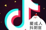 揭秘抖阴视频：成人版抖音的真实内幕与精彩内容