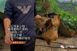 揭秘橙色抖阴：如何在短视频平台中脱颖而出