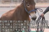 畅享亚洲抖阴短视频，免费在线精彩观看体验