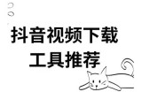 抖音下载官方正版，快速获取VIP特权与精彩内容
