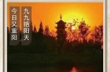 九月重阴节抖音视频精选：缅怀先人与传统习俗全记录