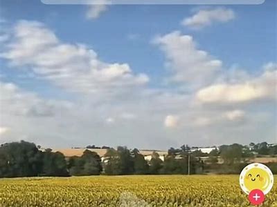 轻松获取抖阴小视频下载地址，快速上手教程分享