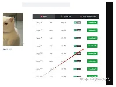轻松下载抖音直播间视频，跟随步骤快速获取精彩内容