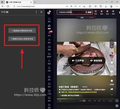 如何破解抖音获取百度云资源的详细教程与技巧分享
