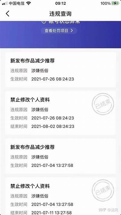 抖阴收费标准解析：用户必须了解的费用详情与影响成分
